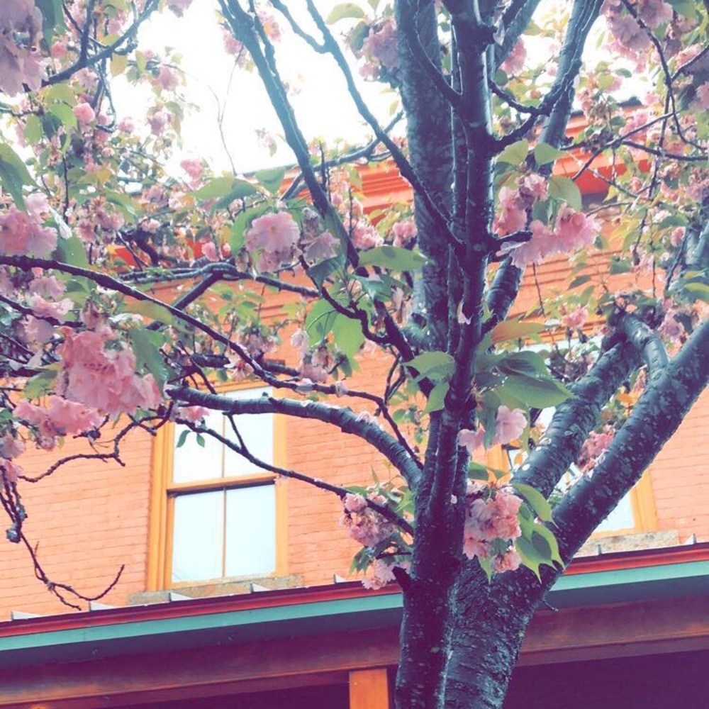 Meet your Posher, Fritzi